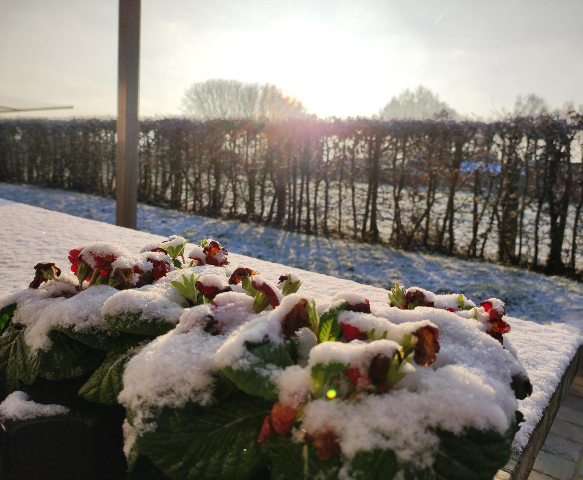 Bed and Breakfast Cote Campagne Houthem Экстерьер фото